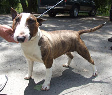 Georgia