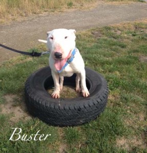 BusterTireName