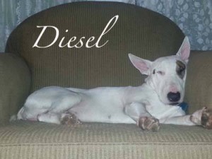 Diesel