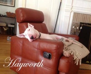 Hayworth