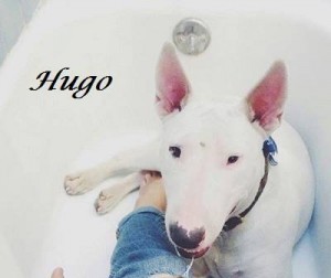 Hugo