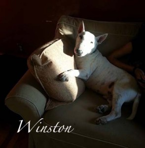 WinstonSofaName