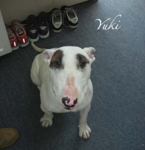 YukiShoesName