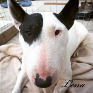 Lena