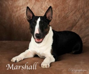 MarshallName