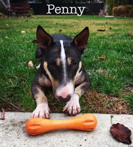 PennyToyName