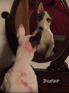 BusterMirrorName