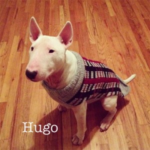 HugoSweaterName