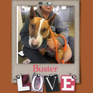 Buster