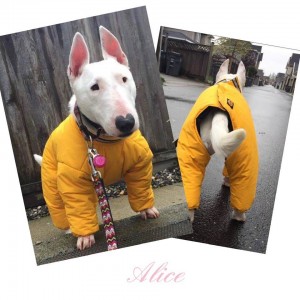 Alice Snowsuit Collage